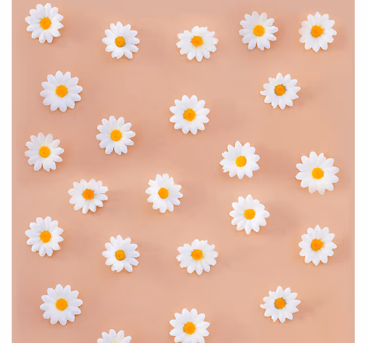 现代雏菊图案花壁纸 - TenStickers