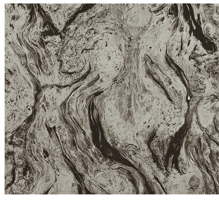 卫生间盲道 深色大理石纹理 - TenStickers