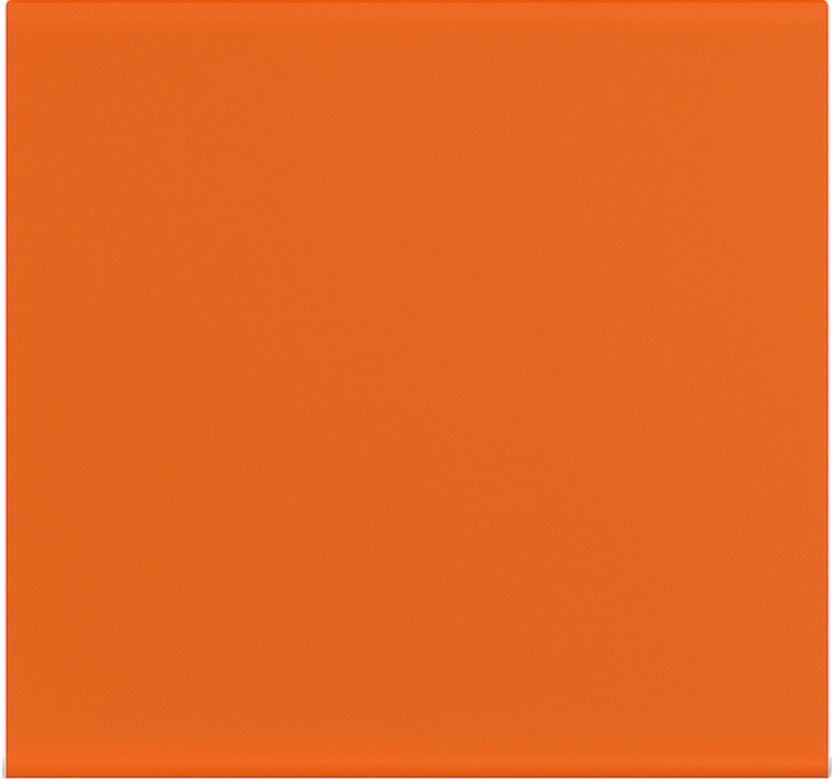 饭厅盲道 焦橙色单色 - TenStickers