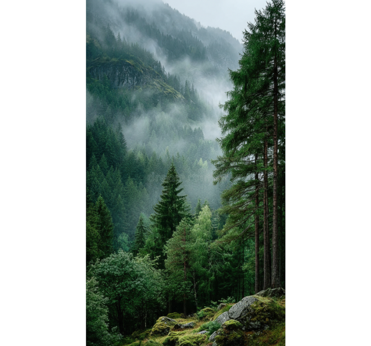 有树的百叶窗是情绪化的选择 - TenStickers