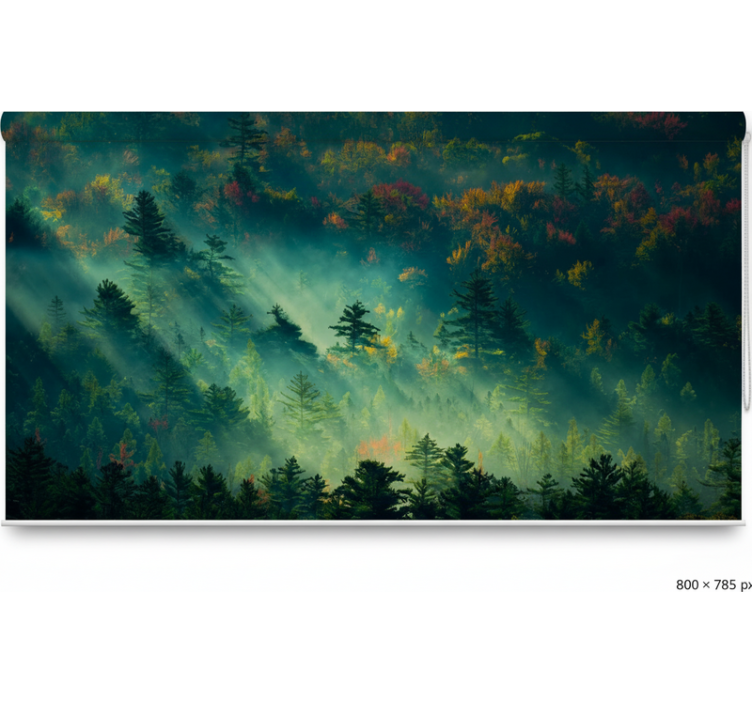 有树的百叶窗在阴郁的森林中 - TenStickers