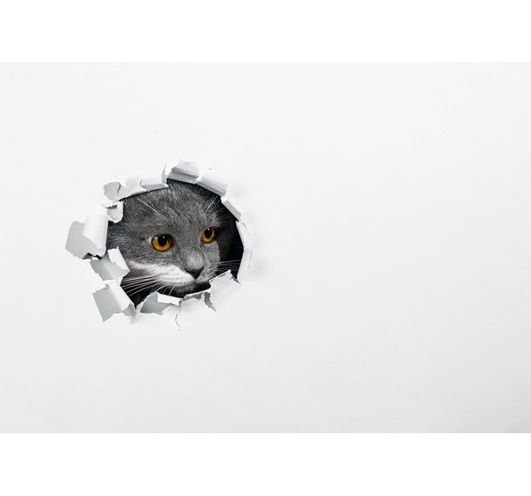 白盲可爱的猫咪 - TenStickers