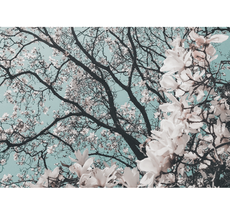 起居室盲道优雅风格樱花设计 - TenStickers