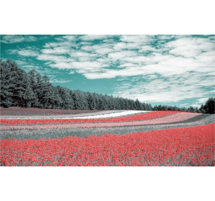 起居室盲道不同种类的花田 - TenStickers