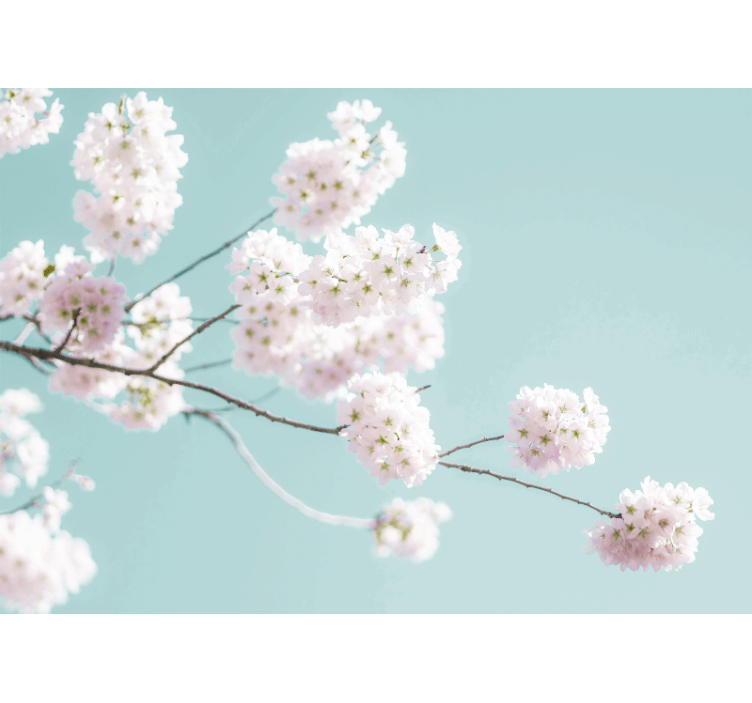 起居室盲道优雅女性白花设计 - TenStickers