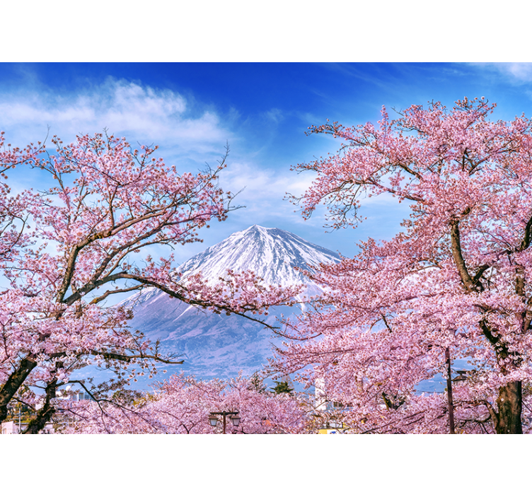 起居室盲道山樱花 - TenStickers