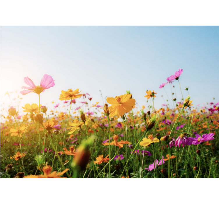 起居室盲道多种花卉类型混合 - TenStickers