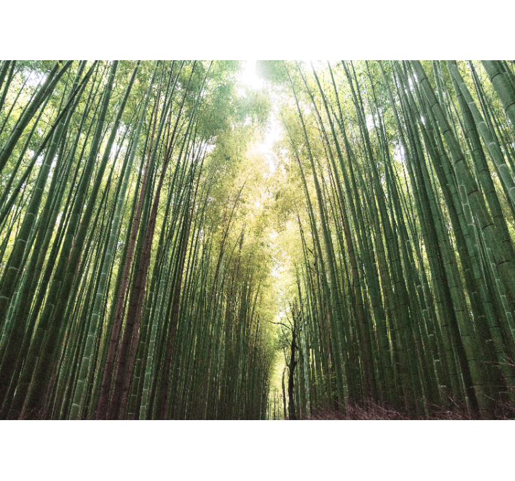 起居室盲道竹林禅意 - TenStickers