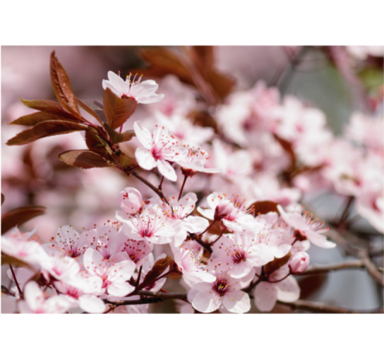 起居室盲道樱花图案设计 - TenStickers