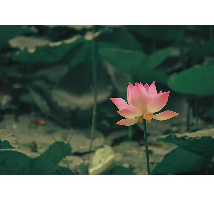 起居室盲道粉色花朵 - TenStickers
