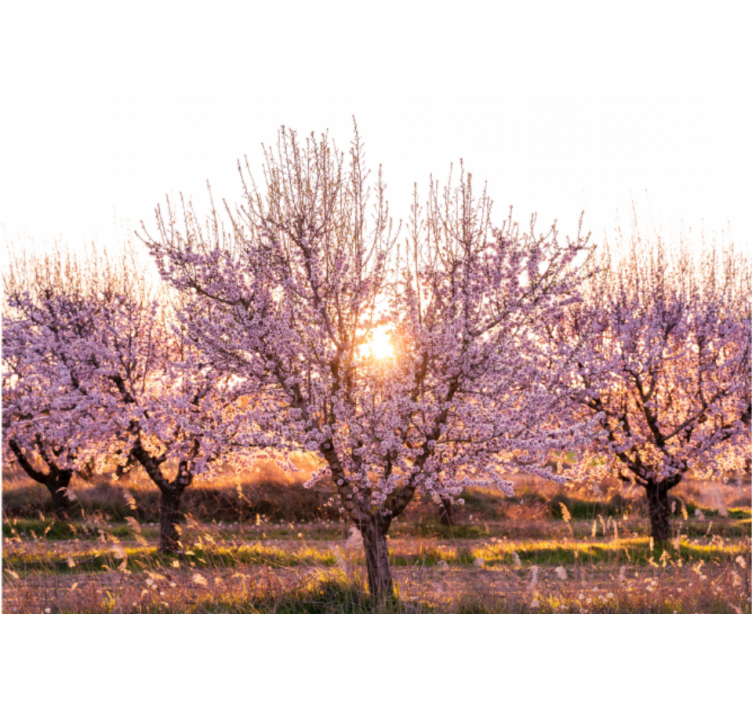起居室盲道粉色花卉风景 - TenStickers