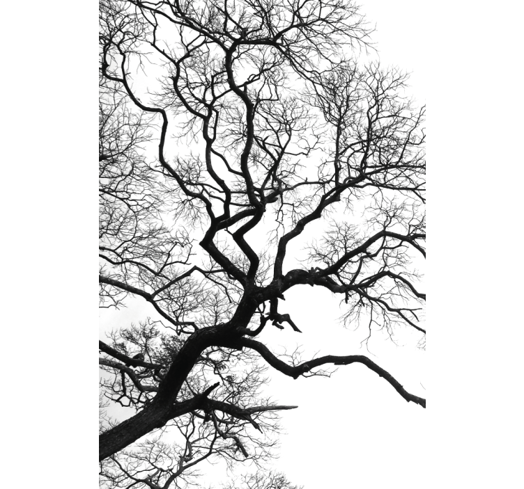 单木枝断裂卷簾画 - TenStickers