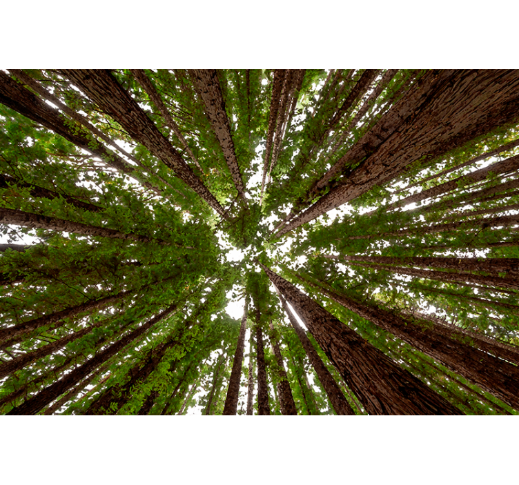 有树的百叶窗高顶设计 - TenStickers