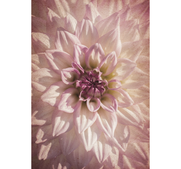 盲人花草细腻绽放 - TenStickers