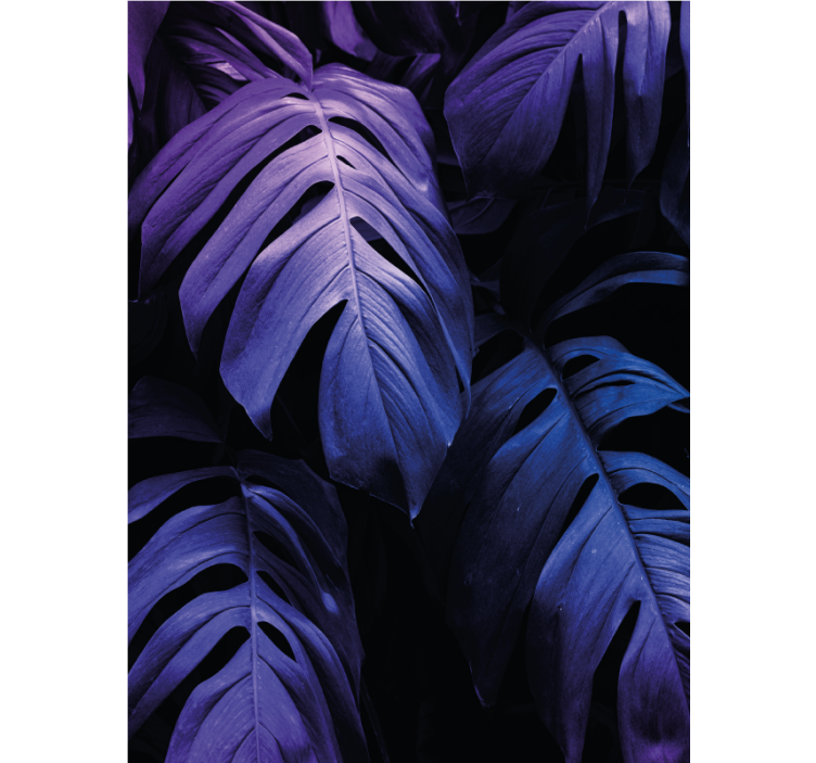 盲人花草的美味 monstera 叶片 - TenStickers