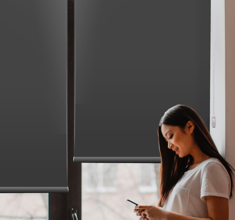 炭灰色素色优雅百叶窗 - TenStickers