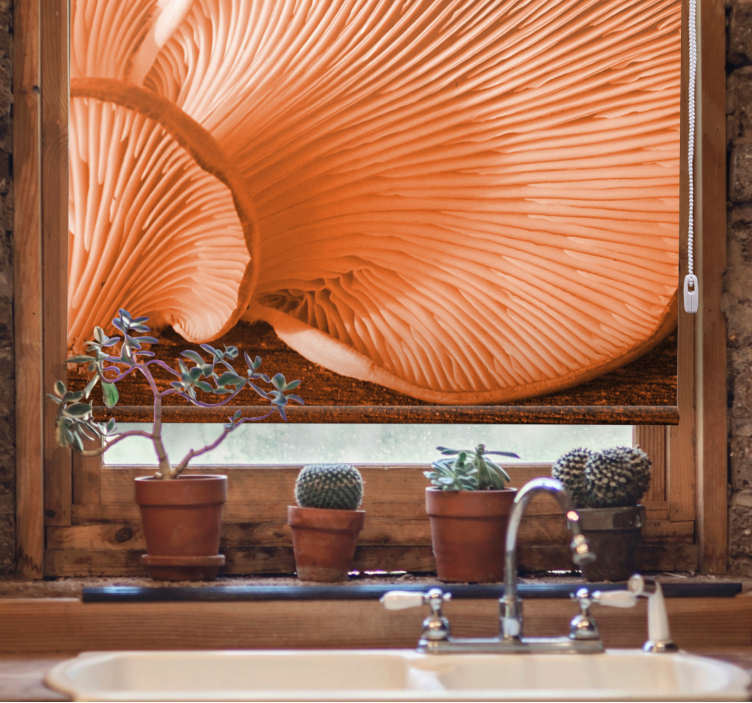 盲目的水果和蔬菜蘑菇鳃特写 - TenStickers