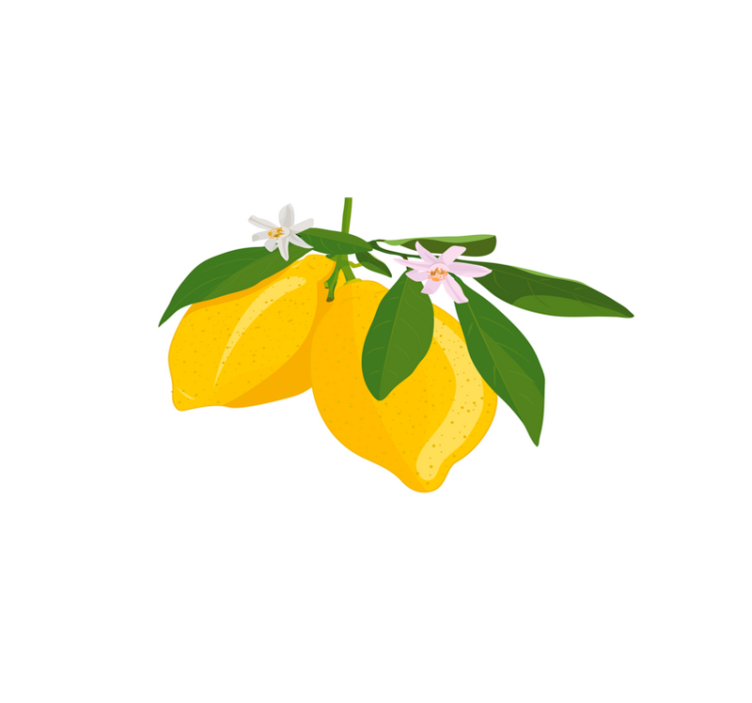 乙烯基餐垫原版柠檬枝插图 - TenStickers