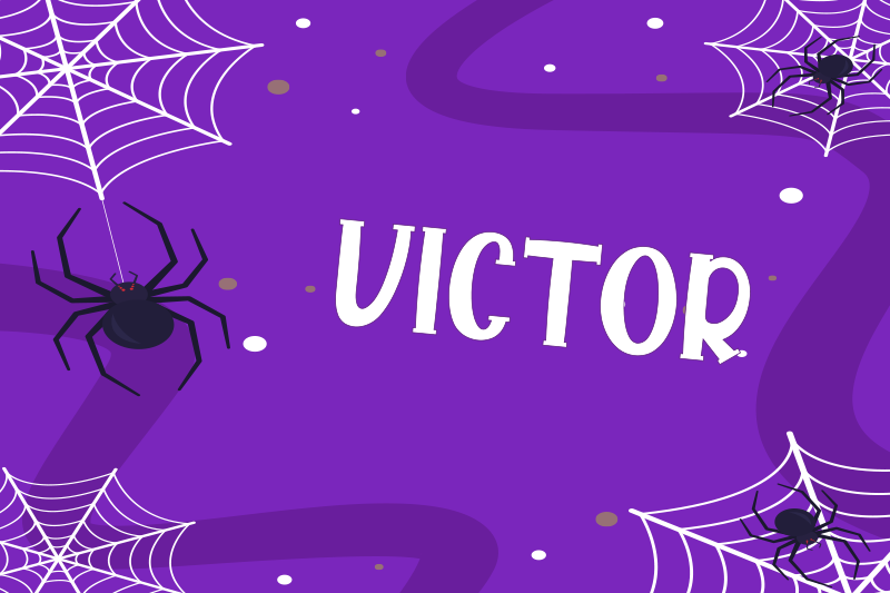 餐垫营造惊悚蜘蛛网氛围 - TenStickers