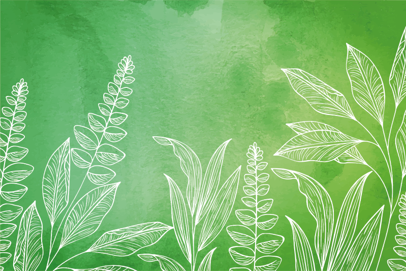 乙烯基儿童餐垫茶具套装带叶子 - TenStickers