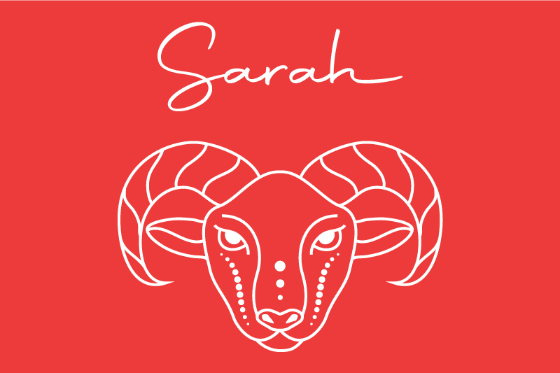 乙烯基餐垫品牌风格化羊插图 - TenStickers