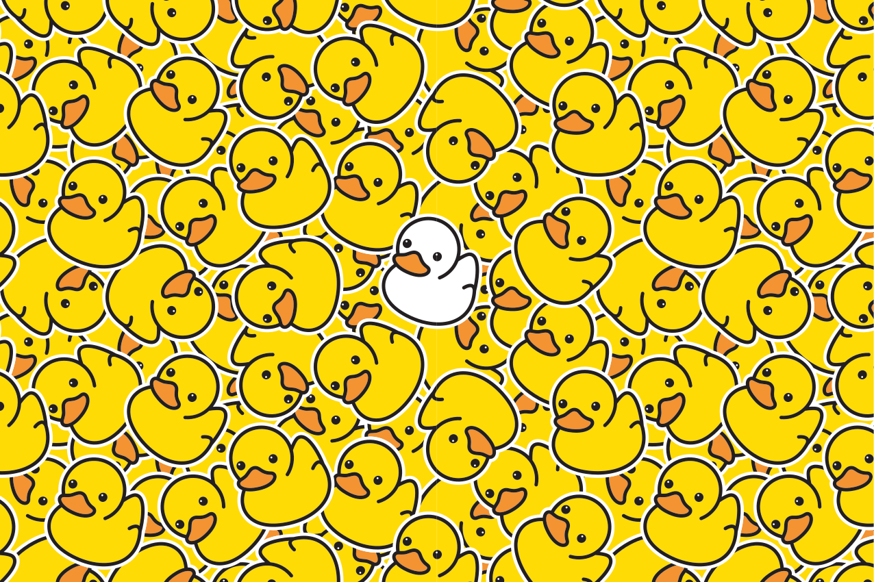 不同的可爱白鸭现代餐垫 - TenStickers