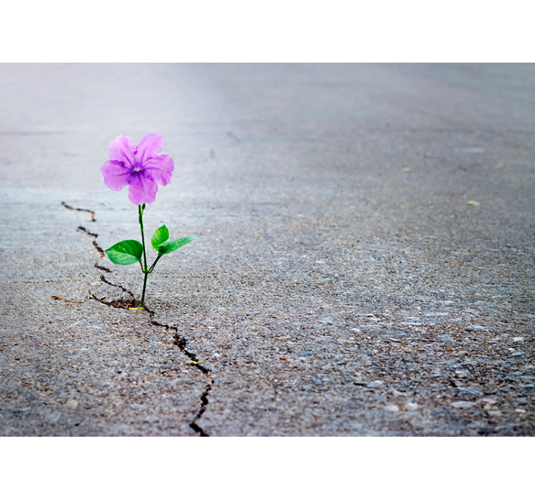 花卉照片墙 纹理背景上盛开的花朵 - TenStickers