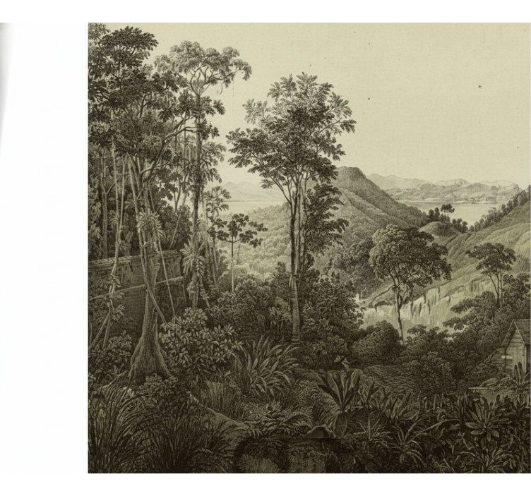 森林照片墙丘陵森林印刷品 - TenStickers