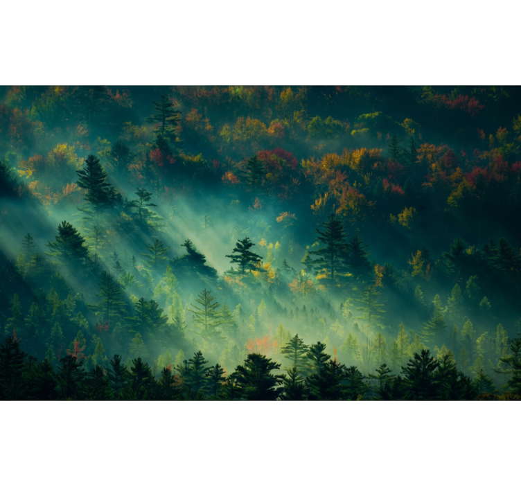 森林照片墙营造神秘森林氛围 - TenStickers