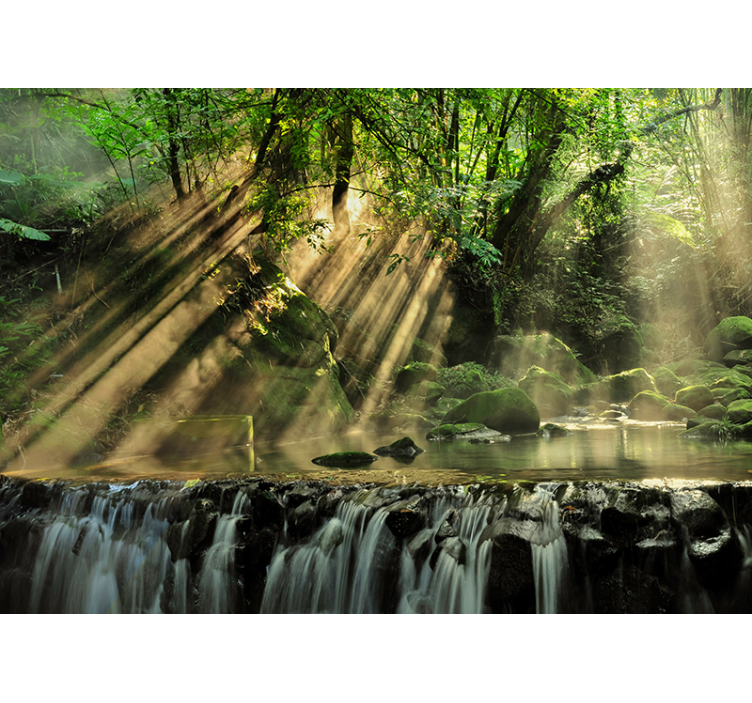 秘密森林景观墙壁画 - TenStickers