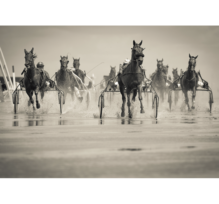 动物风格的墙面壁画 马匹一起赛跑 - TenStickers