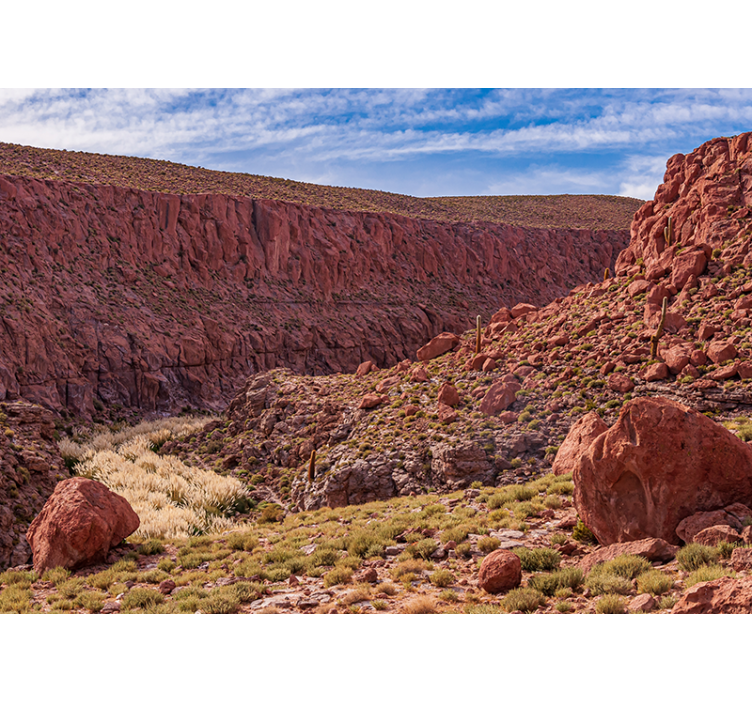 山地照片墙 红色沙漠景观 - TenStickers