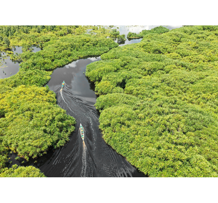 其他景观壁画 风景秀丽的河流之旅 - TenStickers
