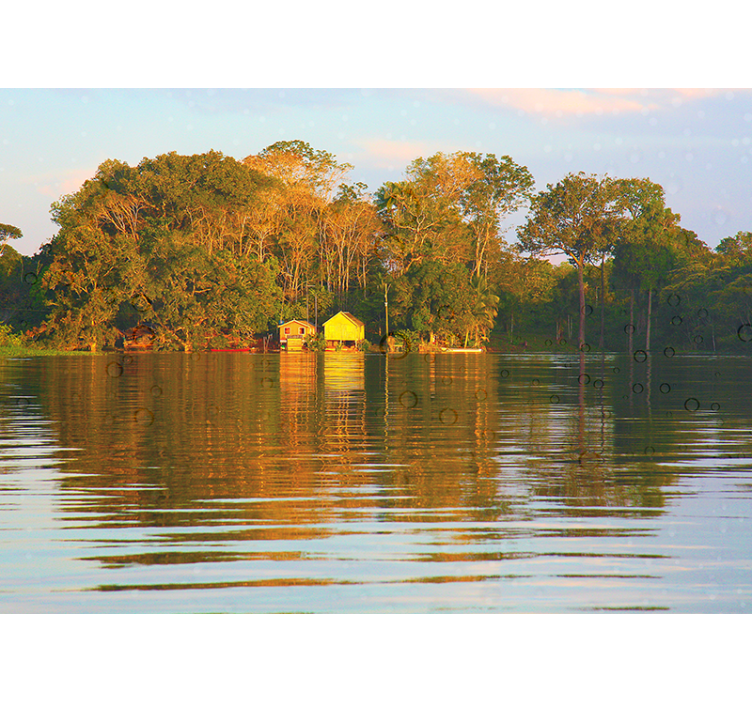 亚马逊房屋自然墙壁画 - TenStickers