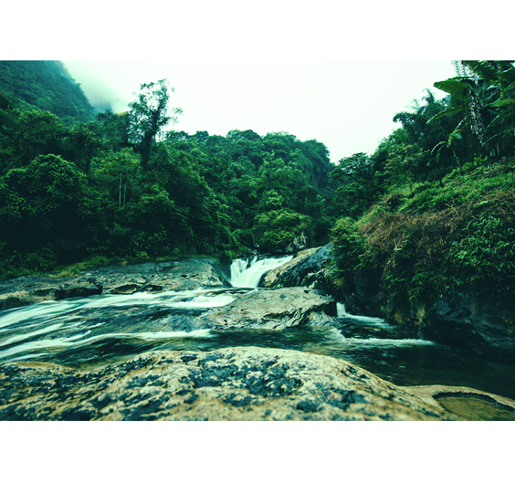 卡乔伊拉照片墙宁静绿意场景 - TenStickers