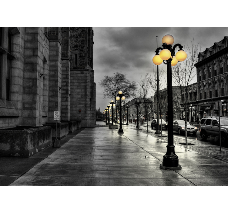 城市和乡村照片墙展示城市夜景 - TenStickers