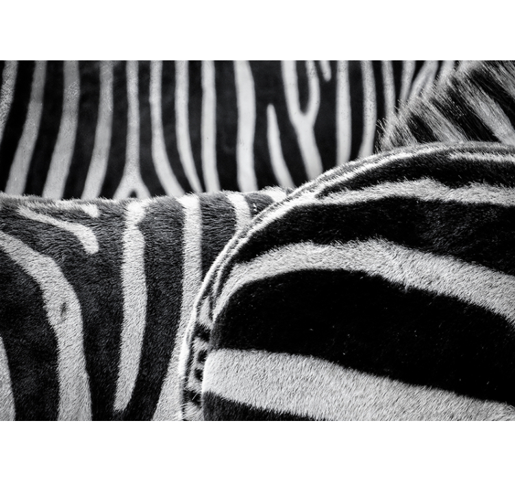 动物风格的墙面壁画展现逼真的斑马纹理 - TenStickers