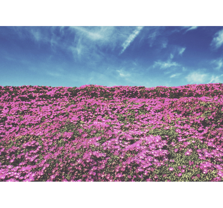 花卉照片墙 鲜艳的粉红色花朵 - TenStickers