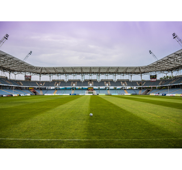 城市和乡村照片墙足球场场景 - TenStickers