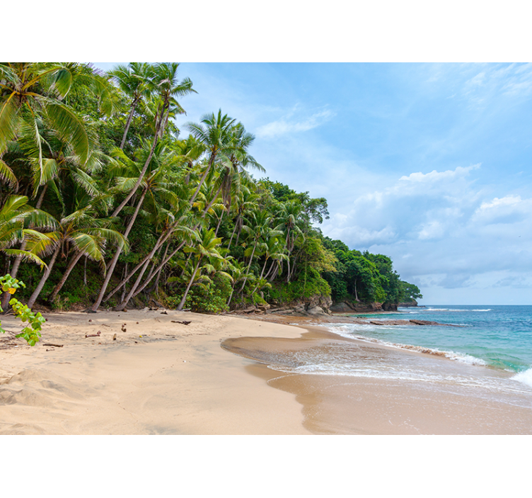 自然照片墙热带海岸绿洲 - TenStickers