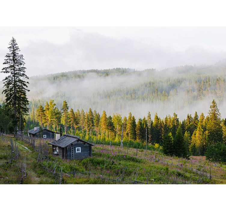 其他景观壁画 雾气笼罩的森林 - TenStickers