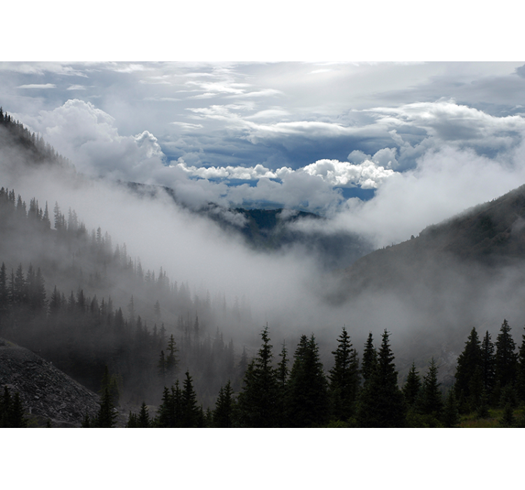 其他景观壁画 雾蒙蒙的林地风景 - TenStickers