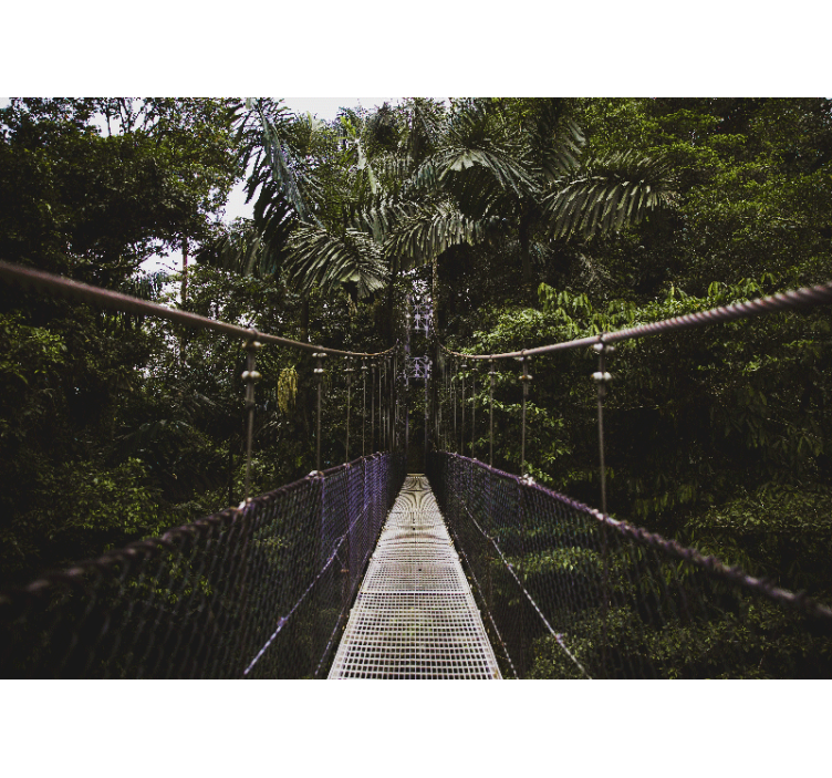 自然照片墙带你体验悬索桥冒险 - TenStickers