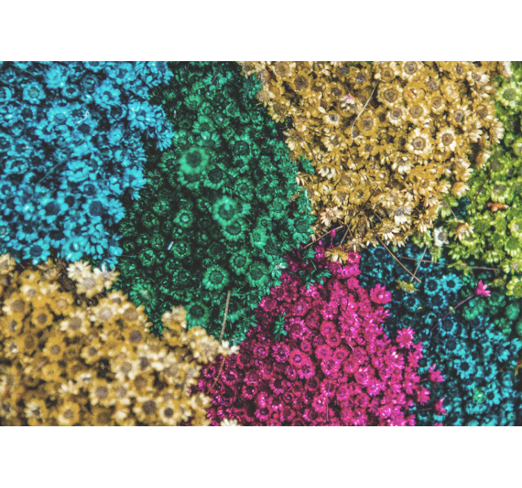 花卉照片墙展现多彩花卉图案 - TenStickers