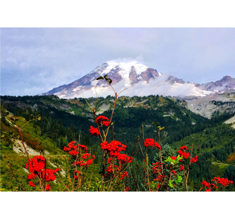 其他景观壁画雪山风光 - TenStickers