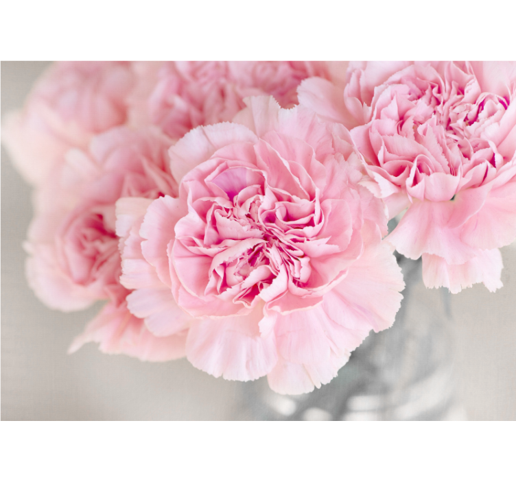 花卉照片墙展现迷人的粉色花朵 - TenStickers