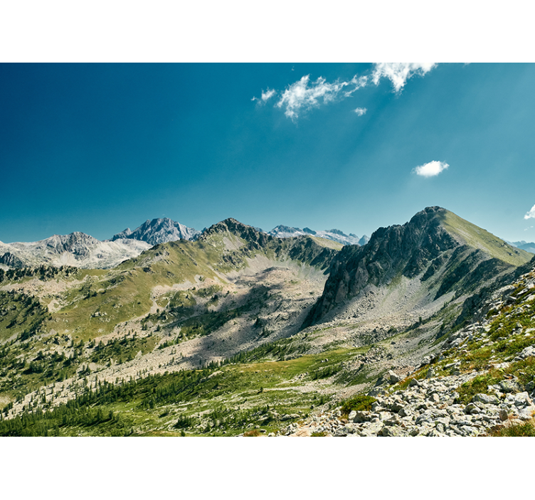 其他景观壁画大山脉美景 - TenStickers