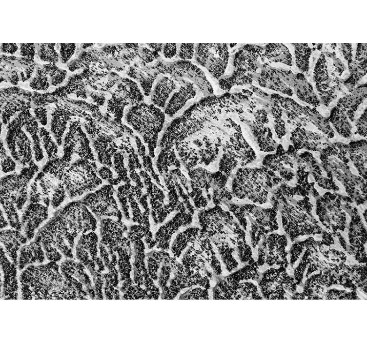 其他具有纹理和图案的壁画有机纹理图案 - TenStickers