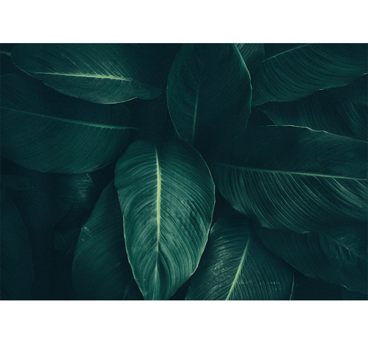 自然照片墙展现丰盈叶子质感 - TenStickers