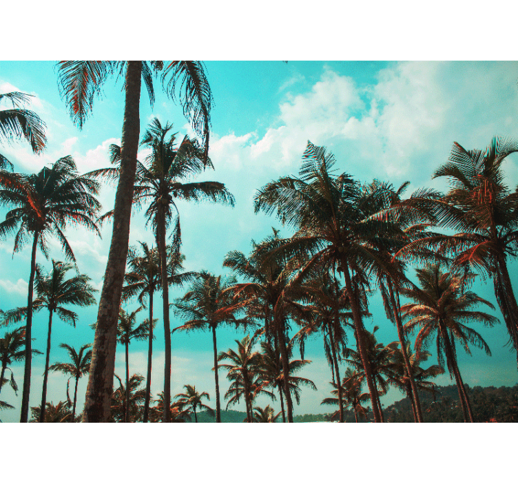 自然照片墙热带椰子树的天堂 - TenStickers